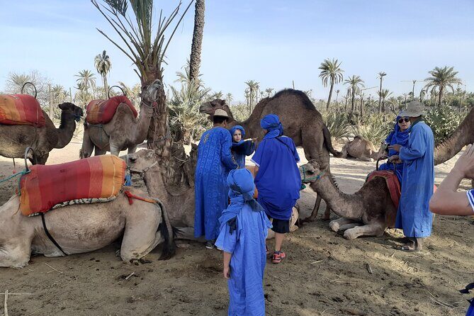 Camel ride Marrakech palmeraie - Who Should Consider This Tour?