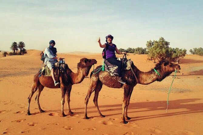 Camel Ride & Overnight Berber Camps in Merzouga Desert - Who Will Love This Tour?
