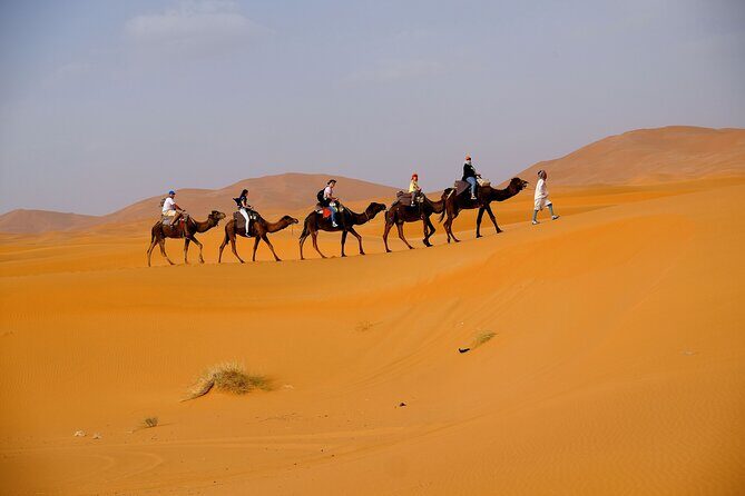 Camel ride & overnight in desert camp - Final Thoughts: Who Should Book This Experience?