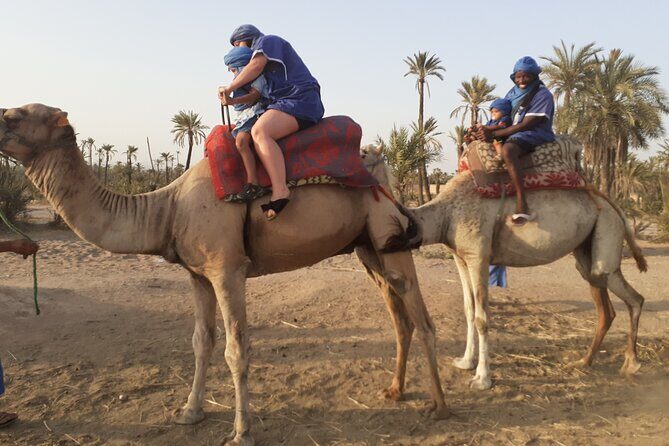 Camel Ride & Quad Bike tours in the palm grove of Marrakech - The Itinerary in Detail