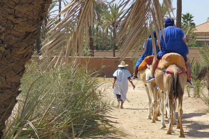 Camel Ride & Quad Biking Half Day in Marrakech - Authenticity, Value, and Tips