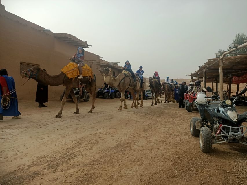Camel Ride & Quad Tour In Agafay Desert With Lunch - Who Will Love This Tour?
