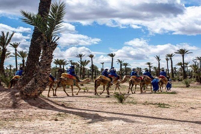 Camel ride tour in Marrakech - Why This Tour Offers Good Value