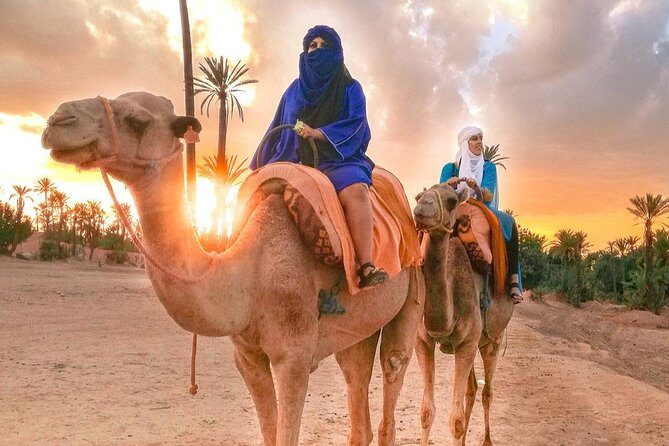 Camel Ride Tour in Marrakech - Practical Tips for Travelers