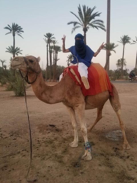 Camel ride tour in Palmerie of Marrakech - Who Should Consider This Tour?