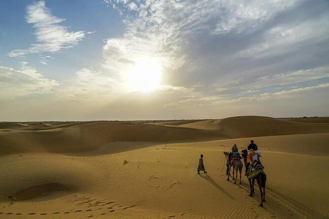 Camel safari in thar desert - The Itinerary: What You Can Expect