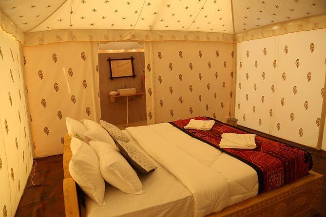 Camel Safari - Exploring the Itinerary in Detail