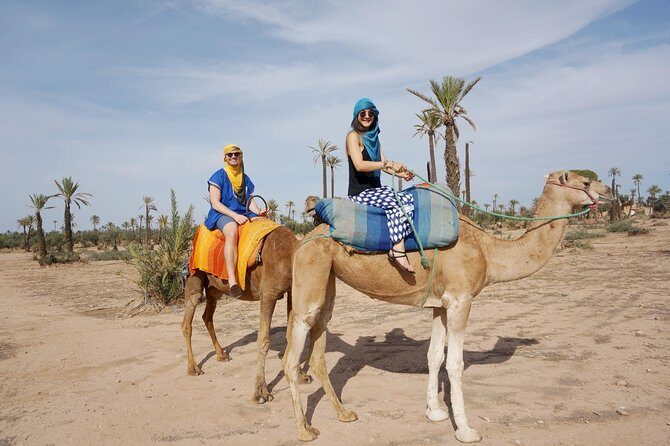 Camel Trek Around Marrakech Palmeraie - Why This Tour Works Well
