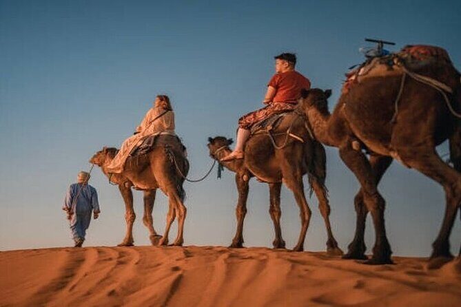 Camel Trekking & 1 Night in Merzouga Desert Camp - What’s Included and What’s Not