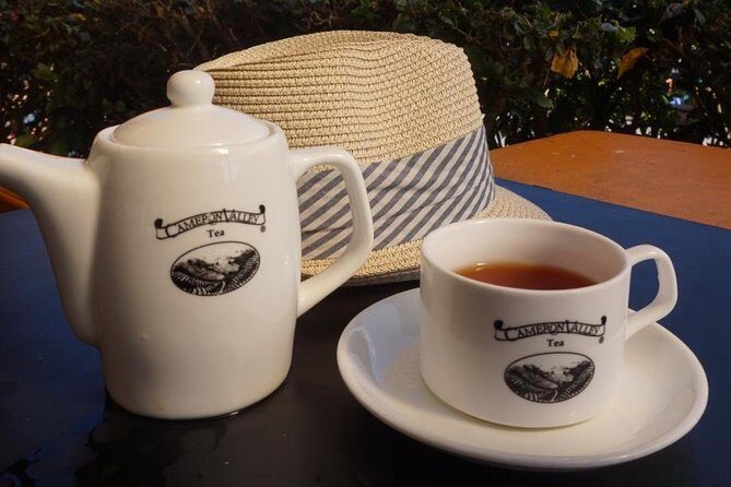 Cameron Highland Best Tour from Ipoh with Lunch ( Day Trip) - What the Reviews Tell Us