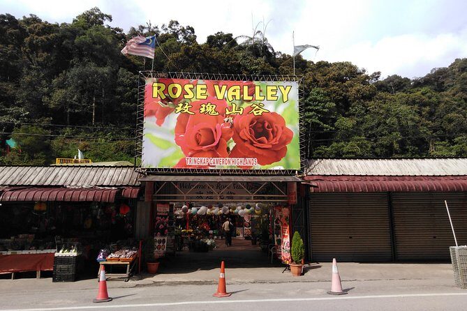 Cameron Highland Private Day Tour - Who Is This Tour Best For?