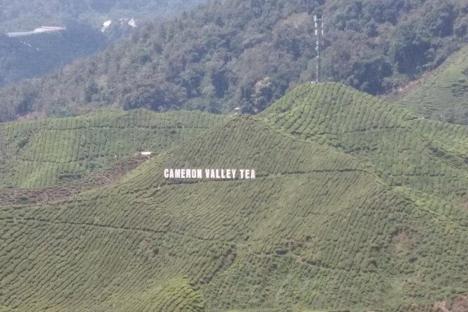 Cameron Highlands 3 Days 2 Night Tours Private (per Vehicle) - Who Should Consider This Tour?