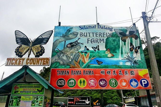 Cameron Highlands Amazing Day Trip Tour with Local Lunch - The Sum Up