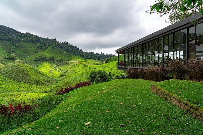 Cameron Highlands One Day Trip from Kuala Lumpur Privately Organised - What’s Included and What to Consider