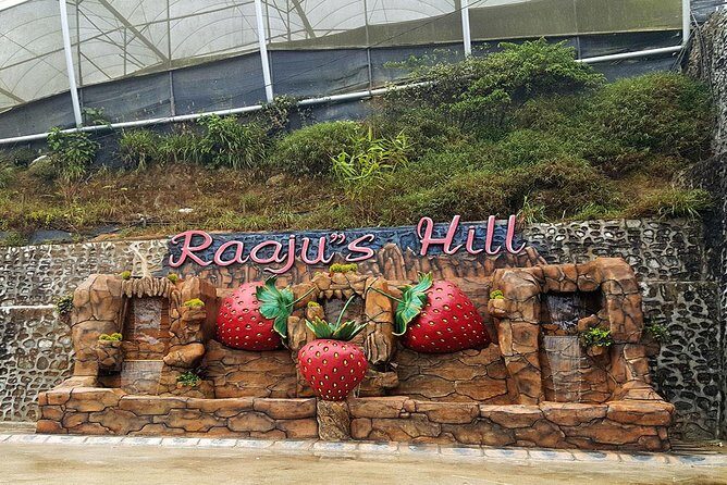 Cameron Highlands Tour From Kuala Lumpur (Private Tour) - Final Thoughts: Who Is This Tour Best For?