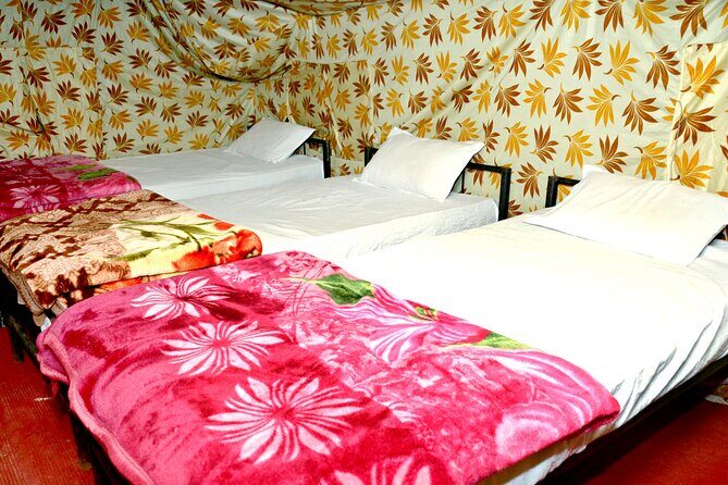 Camping in Rishikesh - 1N 2D - Who Is This Experience Best For?