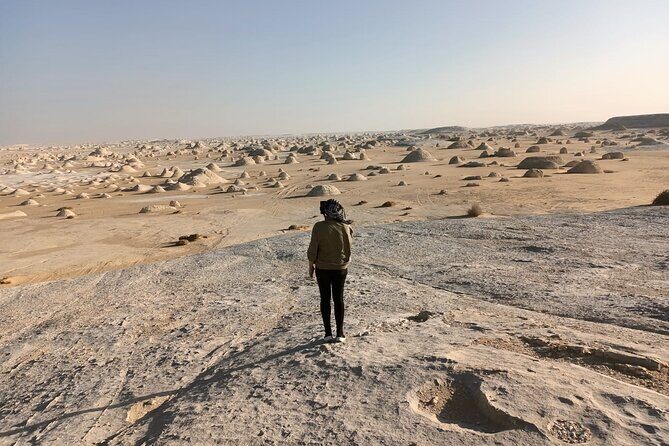 Camping in the White & Black Deserts (Bahariya Oasis) & Cairo Private transfer - The Practical Aspects