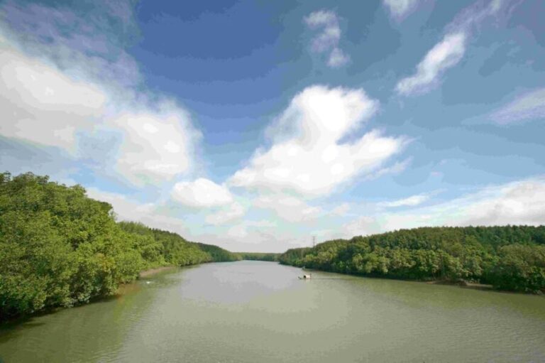 Can Gio: Discovery Vam Sat EcoPark - Can Gio Island Day Trip - Exploring the Itinerary in Detail