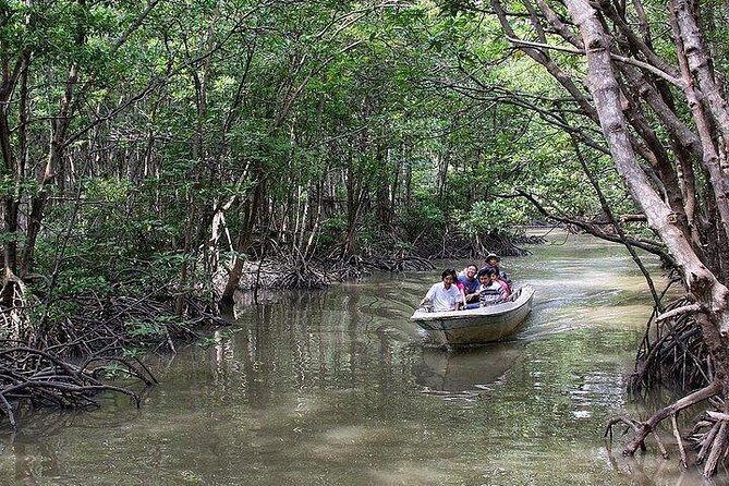 Can Gio mangrove eco tour 1 day private - What Travelers Say About This Tour