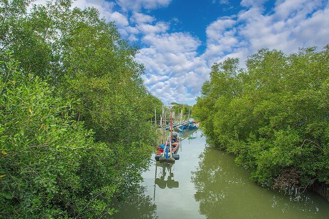 Can Gio Mangrove Forest 1 day tour - Potential Drawbacks and Considerations