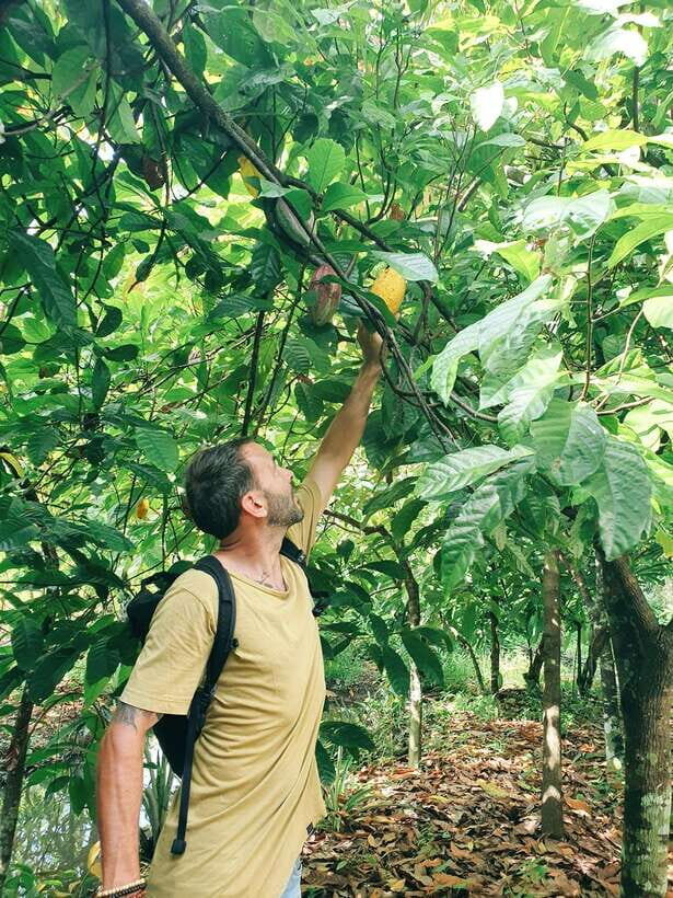 Can Tho: Countryside Cycling Tour with Cocoa Farm Visit - Crossing the River and Visiting a Duck Farm