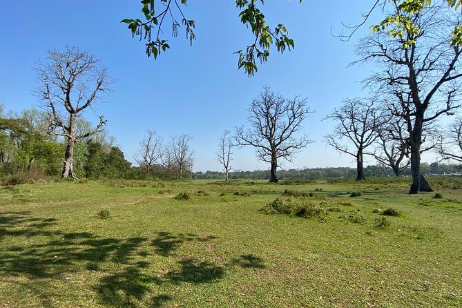Canoeing and Nature Walk in Chitwan National Park - The Experience in Practice
