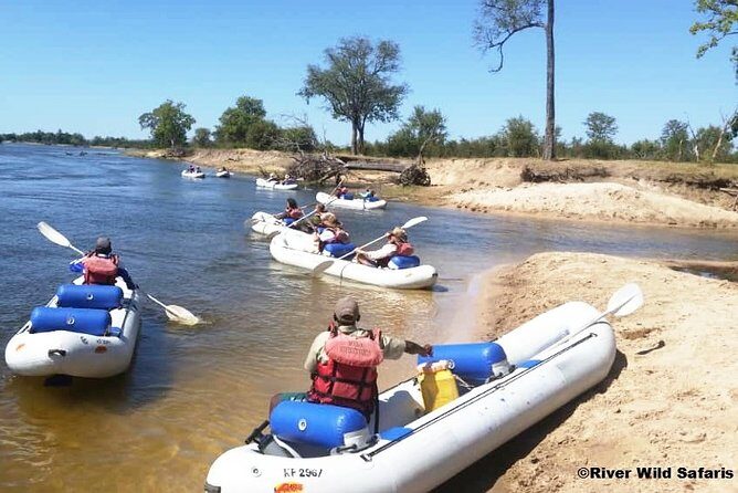 Canoeing Upper Zambezi 1 Day - River Wild Safaris - The Practicalities and What They Mean for You