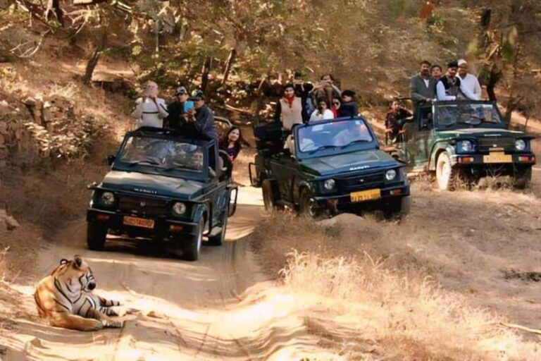 Canter Safari: Skip-the-line Entry Ranthambore Tiger Reserve - Who Should Consider This Safari?
