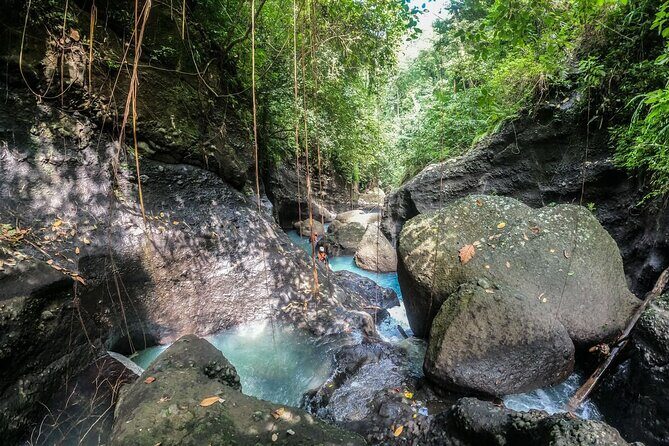 Canyoning Bali, Blue Gorge Canyon (Adventure, discovery, nature) - Analyzing Value: Price and What’s Included