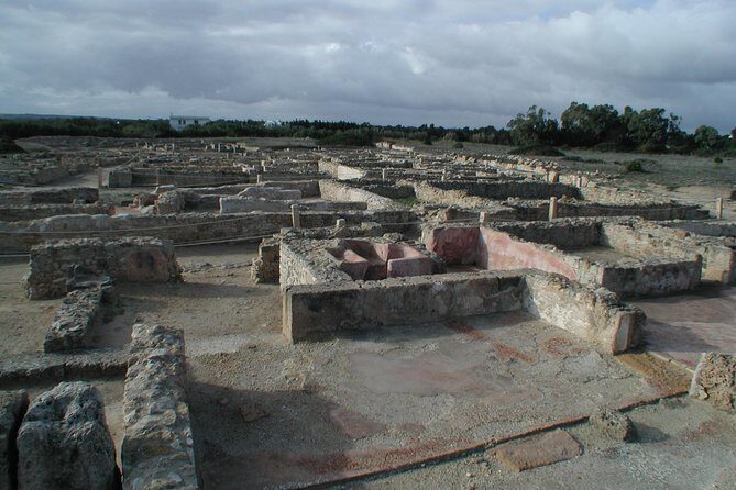 Cap Bon Guided Day Tour from Tunis - Is This Tour Right for You?