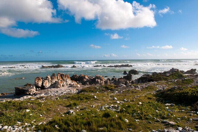 Cape Agulhas Southern most Tip of African Continent Full Day Tour - Key Points