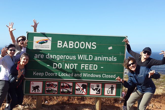 Cape of Good Hope and Cape Winelands Day Tour from Cape Town - Penguins at Boulders Beach: A Playful Encounter