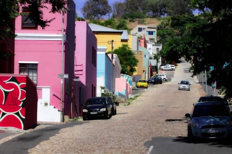 Cape of good hope and penguins Group Tour Full day - Final Thoughts