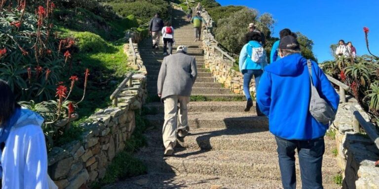 Cape Of Good Hope and Penguins viewing Private Day Tour - What Travelers Say