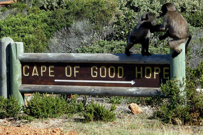 Cape of Good Hope, Cape Point & Penguins Private Afternoon Tour - Visiting the Cape Point Ostrich Farm