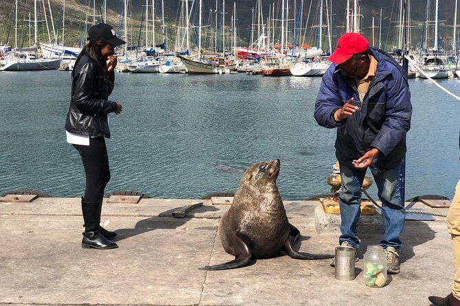 Cape of Good Hope-Penguin-Private Tour Combined With Wine Tasting Full Day Tour - What It Means for You