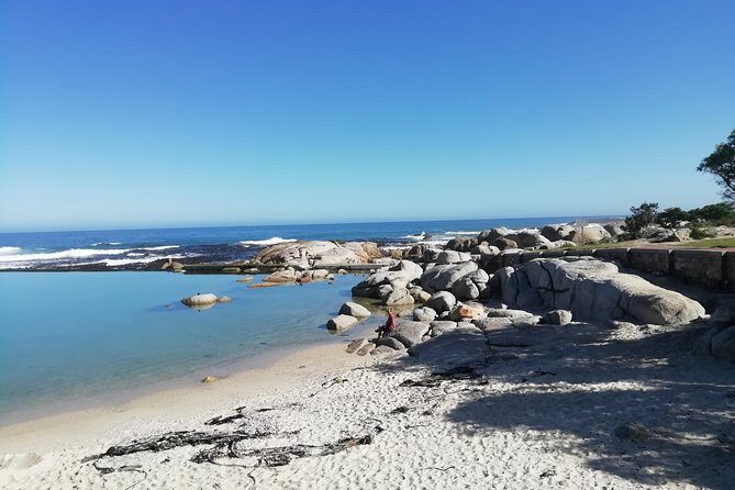 Cape Peninsula Day Tour - Practical Details and What You Can Expect