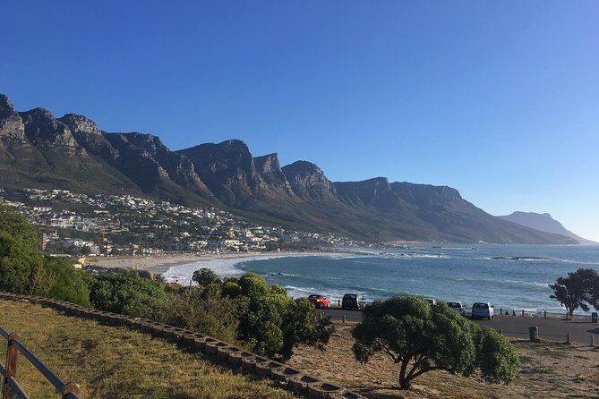 Cape Peninsula E-bike Cycle with Vehicle - Private Tour - The Sum Up