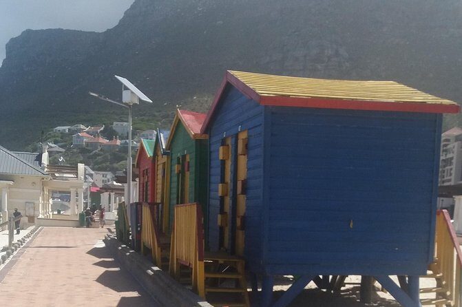 Cape Peninsula Private tour - Authentic Experiences and Real Traveler Feedback