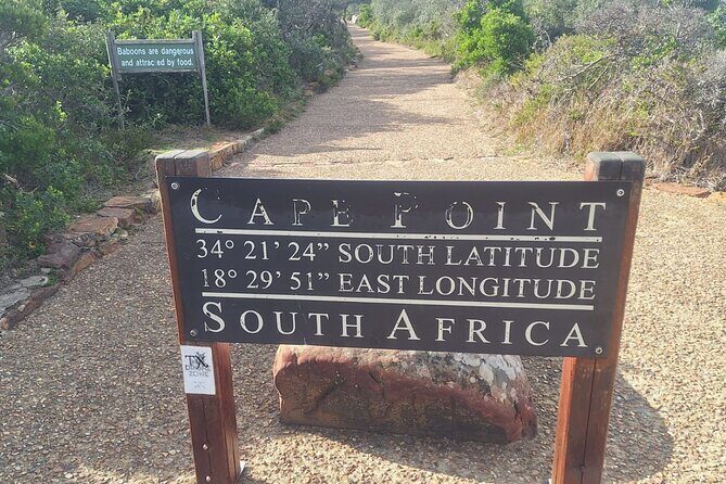 Cape Point and Boulder's Penguins Full Day Tour - What Sets This Tour Apart
