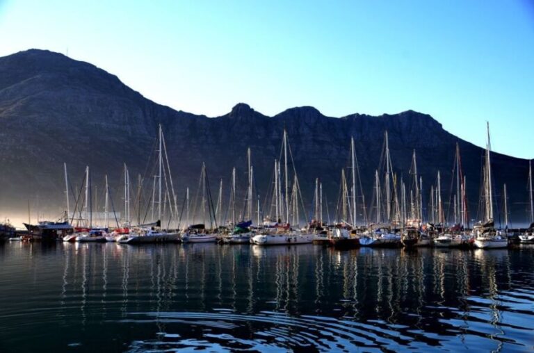 Cape Point Full-Day Tour From Cape Town - The Experience: Pros, Cons, and What Travelers Say