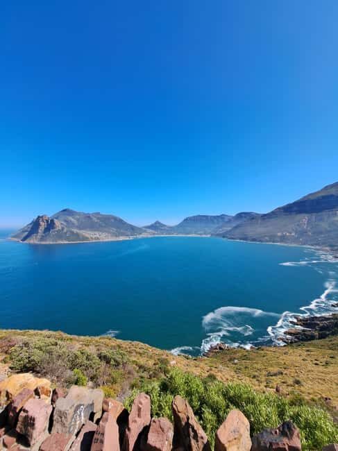 Cape Point: Private Tour incl surfing & penguins at Boulders - The Practical Side: What’s Included and What to Prepare