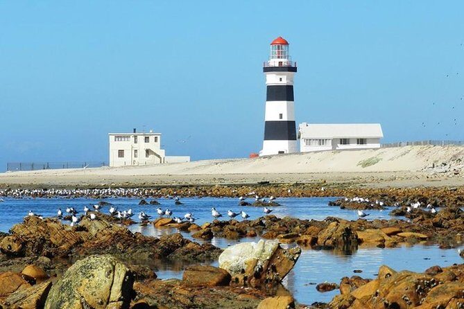 Cape Recife, Lighthouse and 4x4 Grysbok Reserve - HD14 - The Itinerary: What to Expect from Start to Finish