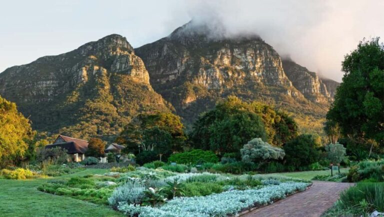 Cape Road Trip, Kirstenbosch Gardens Tour, 3-Course Lunch - Who Should Consider This Tour?