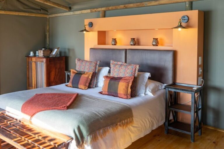 Cape Town: 2-Day Wildlife Tour with Safaris and Luxury Stay - Day Two: From Bush to Scenic Passes