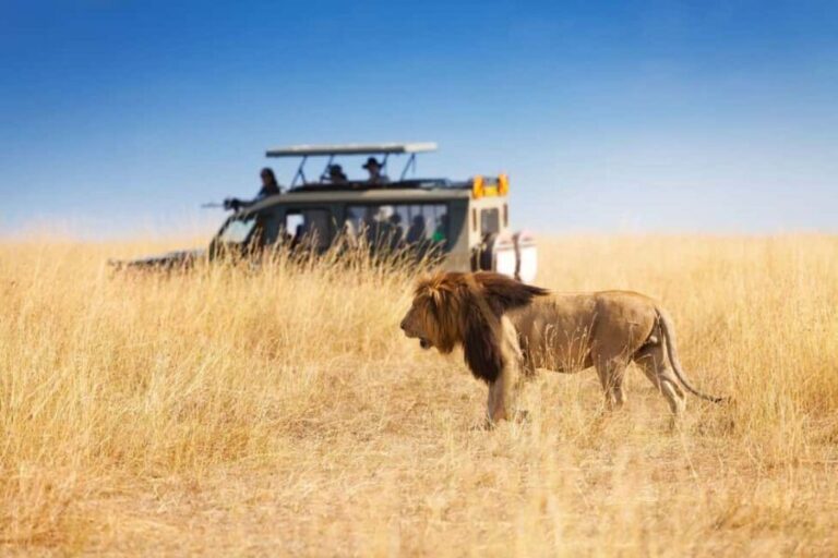Cape Town: 3-Day Garden Route Tour with Accommodation - What Makes This Tour Stand Out?