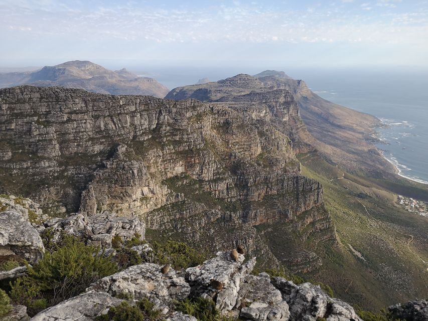 Cape Town: 3-Hour Table Mountain Hike via Platteklip Gorge - The Cost and What It Reflects