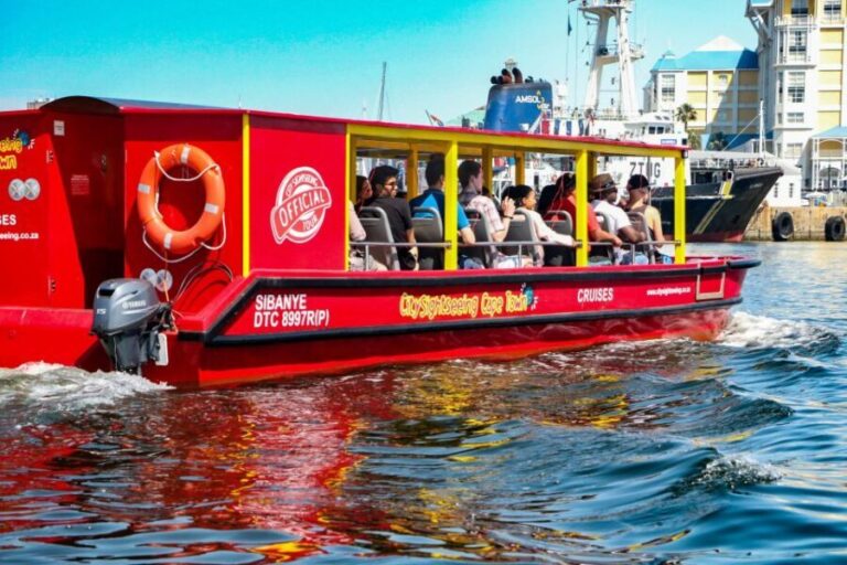 Cape Town: 30 Minute Seal-Watching Harbour Cruise - Key Points