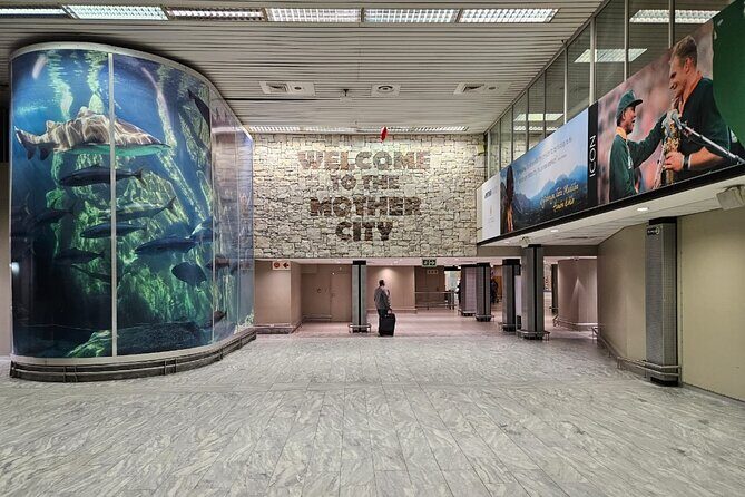 Cape Town Airport Transfers to Stellenbosch - Real-World Insights from Travelers