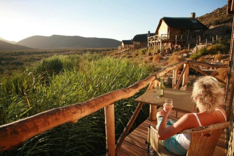 Cape Town: Aquila Big Five Safari with Transfers - The Itinerary in Detail